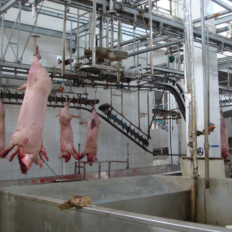 Modern design of meat slaughterhouse slaughterhouse slaughterhouse equipment