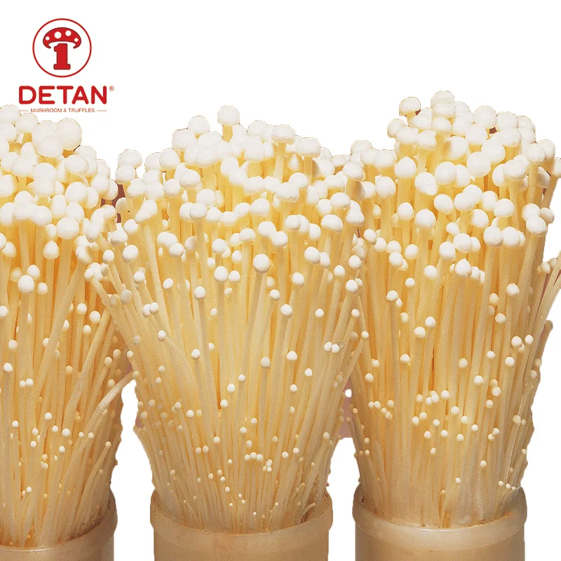 Nutrients Fresh Enokitake/ Enoki / Golden Needle Mushroom For Sale Buy Fresh Enokitake