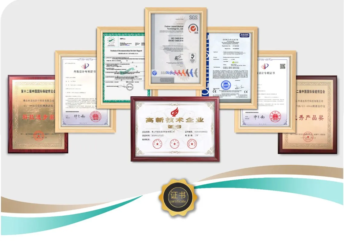 Foshan Leawell Medical Technology Co., Ltd. 2