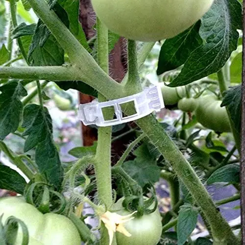 300, trasparenti) Clip di supporto per piante, clip per pomodori da giardino, clip di supporto per piante da giardino, clip per verdure, viti di pomo | Leroy Merlin