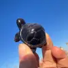 Black silver obsidian turtle