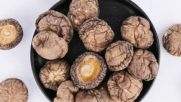 organic vegetable shitake mushroom spawn to sale suppliers price