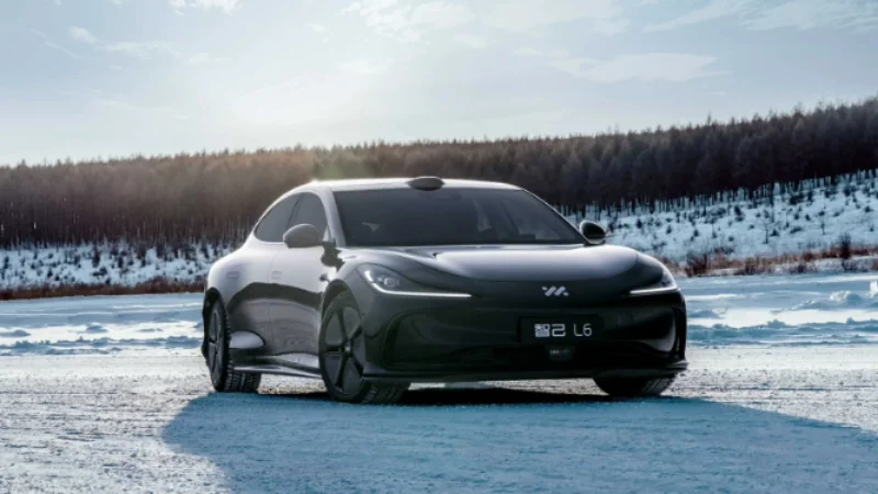 CHINESE ELECTRIC CAR REVIEW visual data 2