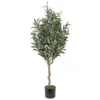 Green Potted Artificial Olive Trees With Fruits