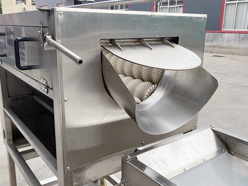 French Fries Machine manufacture