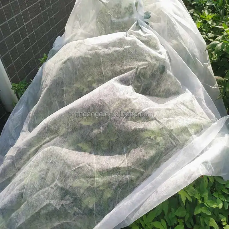 Factory Price Mothproof Biodegradable Recyclable Agriculture Nonwoven Fabric for Vegetable Plant Protection Cover Keep Warm