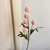 Rosa autunnale