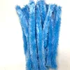 Light blue, 20 pieces