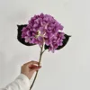 autumn purple