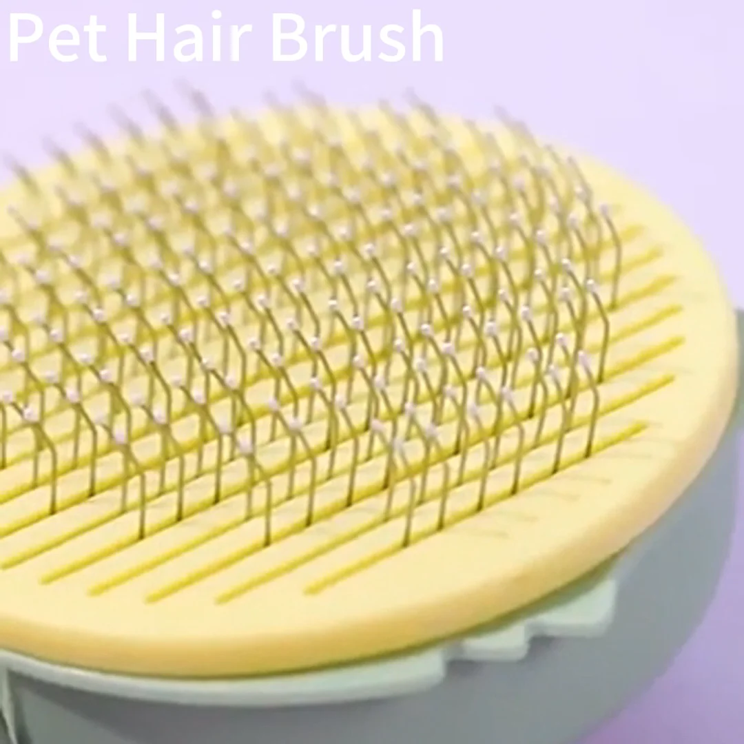 Wholesale Cat Head Shape Portable Pet Hair Remover Hot Sale Abs