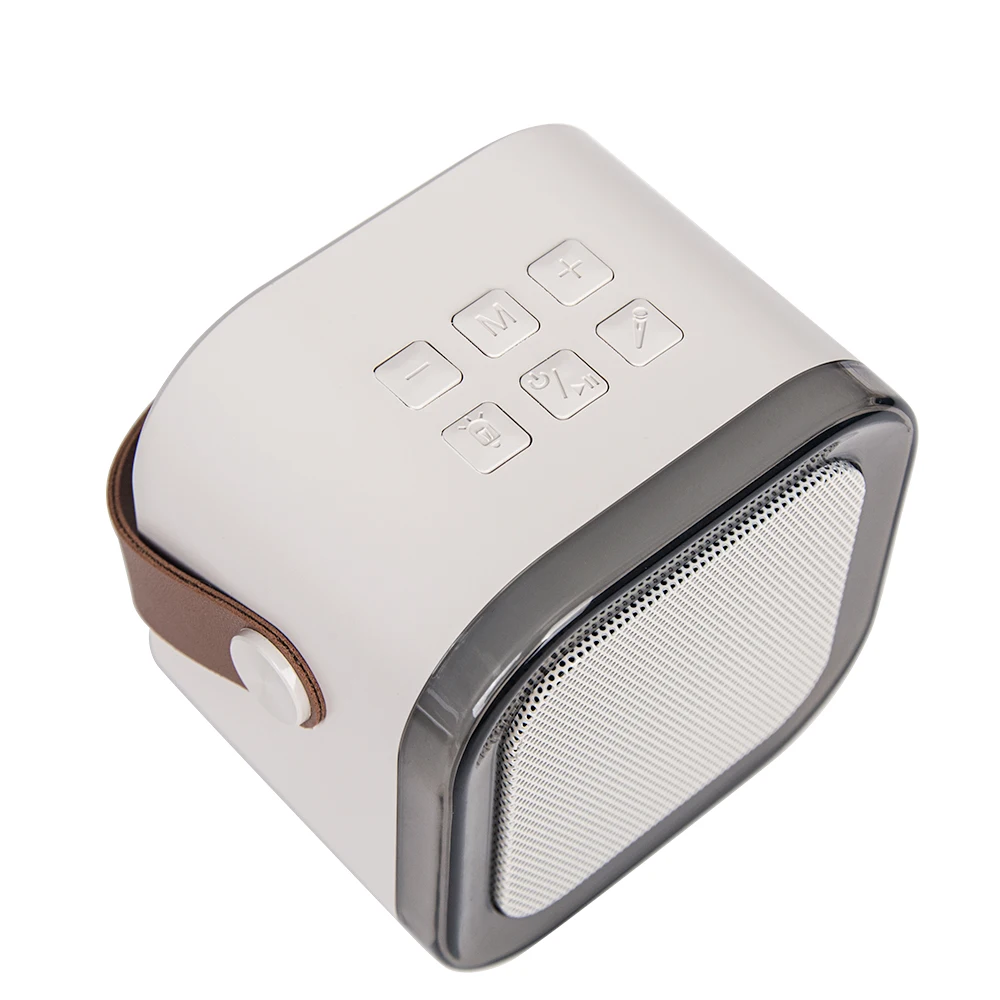 FANSBE Outdoor Portable Sound Mini Wireless Karaoke Bluetooth Speaker Wireless With 2 Microphone