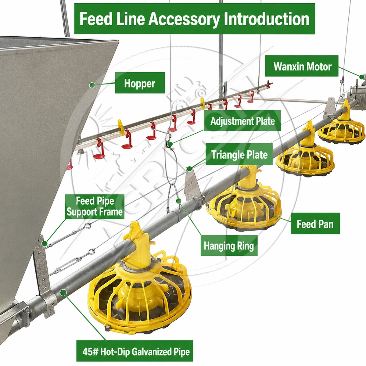 Automatic Poultry Feeding Line