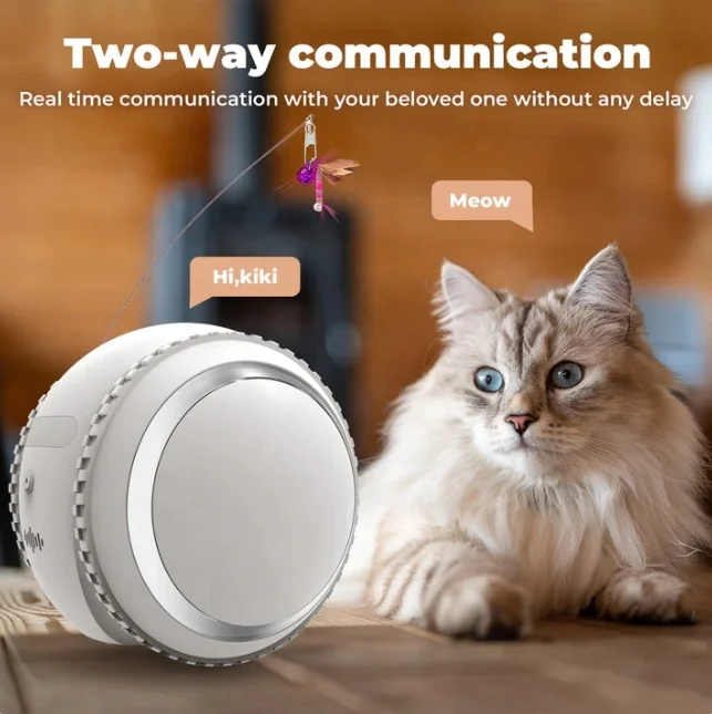 HD Video Photo Smart Companion Robot Funny Lovely Interactive Cat Dog Toy with Camera Made Silicone Rubber Intelligent Pet Toys