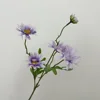 Púrpura