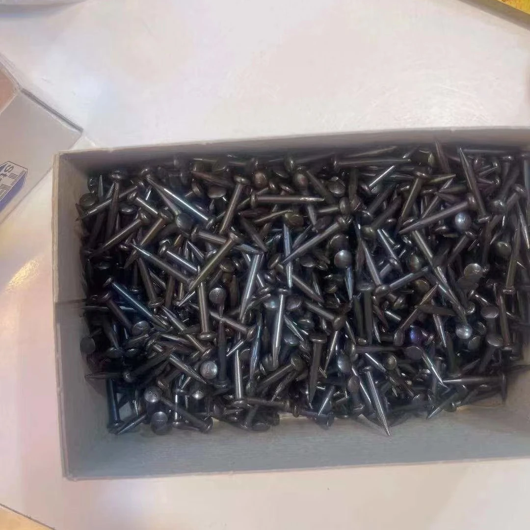 Small Packing 100 Pcs Per Packet Blue Coated Iron Steel Concrete Nails 2.0 X 16 mm Black Masonry Nails Hardened Steel Nails