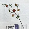 5-headed pomegranate, green