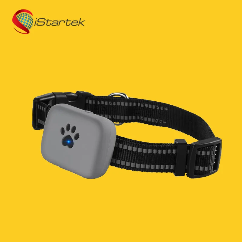 Gps tracker cat implant sale