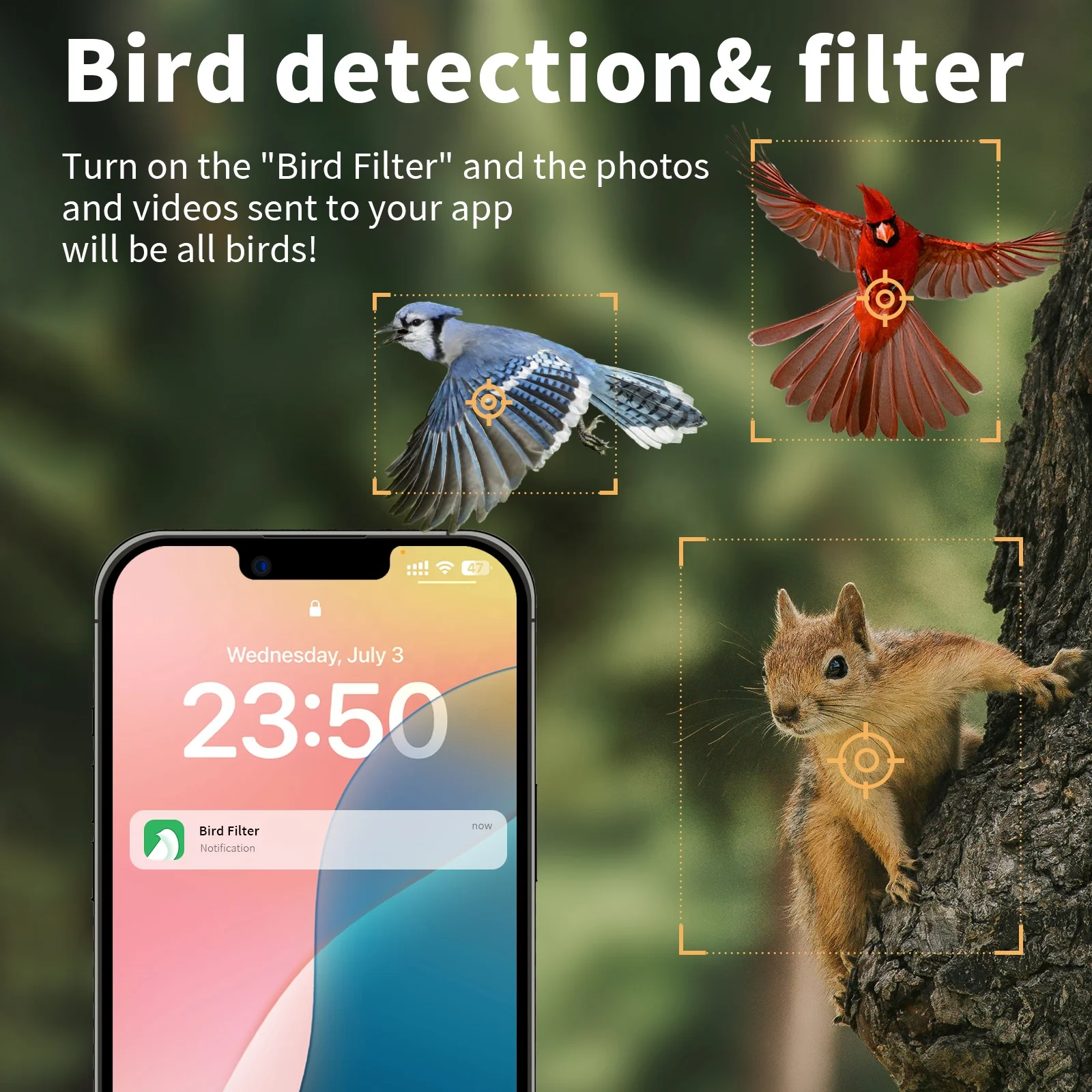 4K Smart AI Recognize Wifi Bird Camera Outdoor Ip66 Waterproof Bird Feeder with Camera for Bird Watching