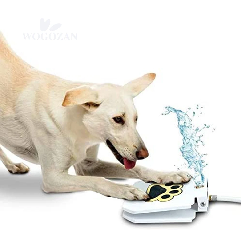 collar activated dog feeder