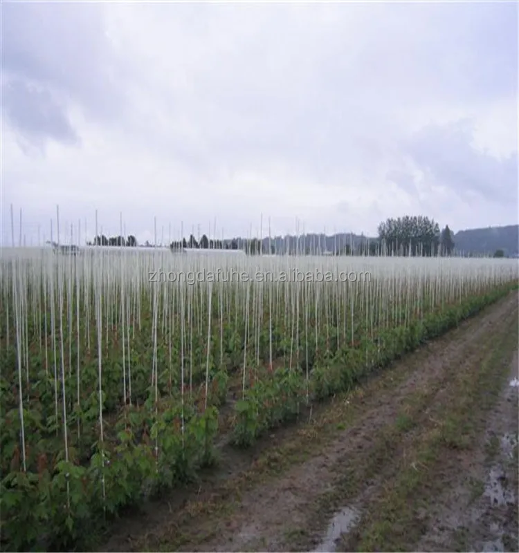 product high strength fiberglass rods for greenhouse planting and outdoor tent support excellent wind and pressure resistance-3