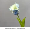 Blue Tulip
