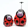 Coccinella