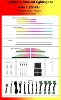 Neta S Symphony 21 Lights