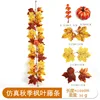 Autumn maple vines - K [1m]
