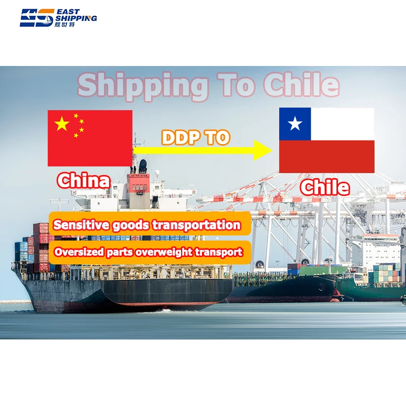 Cargo Agency Agent Professional Door To Door Delivery Service Container Shipping To Chile
