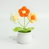 Pianta in vaso con fiori a sbuffo-arancione