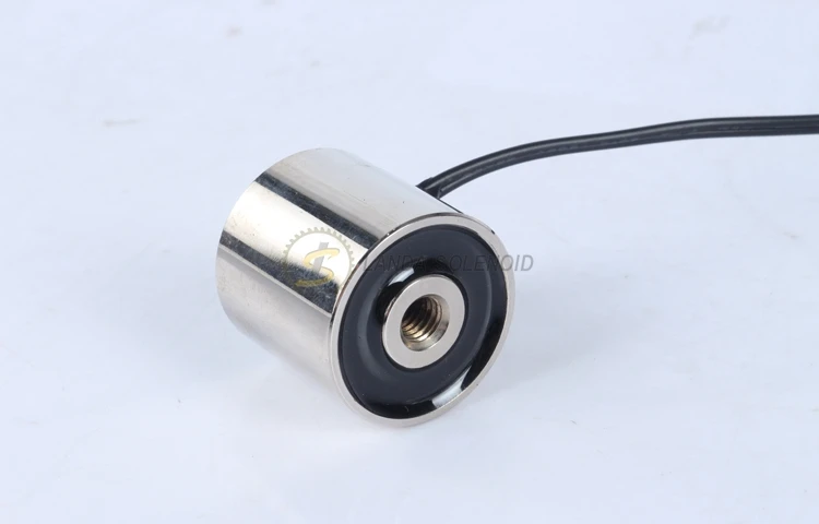 Factory Directly Sale Dc 12v 24v 60N Holding Force Micro Round Electro Magnet