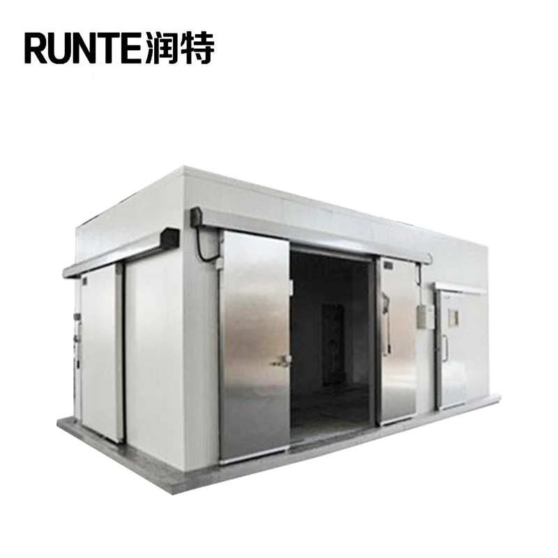 Refrigeration/ Walk in Fridge/ Cold Room Freezer for Sales