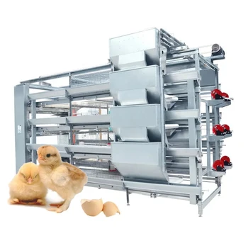 Automatic Poultry Farm Layer Chicken Battery Baby Chick Brooder Cage