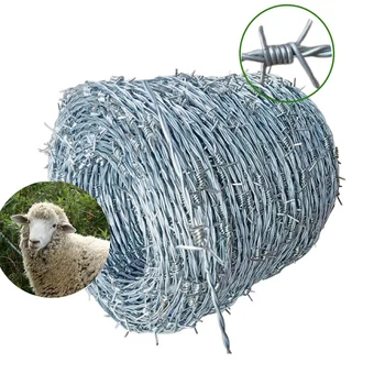 Wholesale Good Price Galvanized razor Barbed Wire 500 Meter Length Barbed Wire fence 23kg barb wire fence roll In Egypt