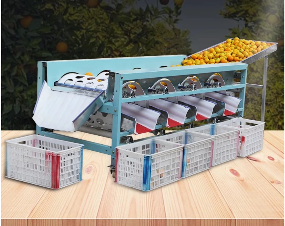 フルーツ野菜 3種のひとくち寒天フルーツゼリー|有機野菜 通販 Oisix