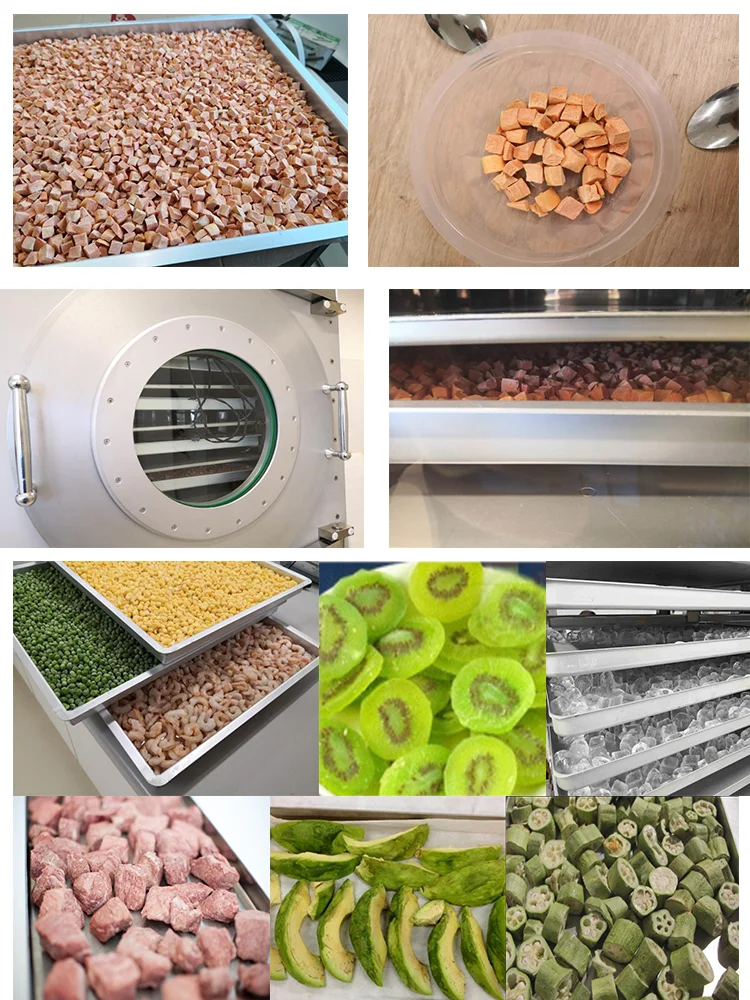 FD-10R 100Kgs Commercial Food Fruit Vegetables Freeze Dryer