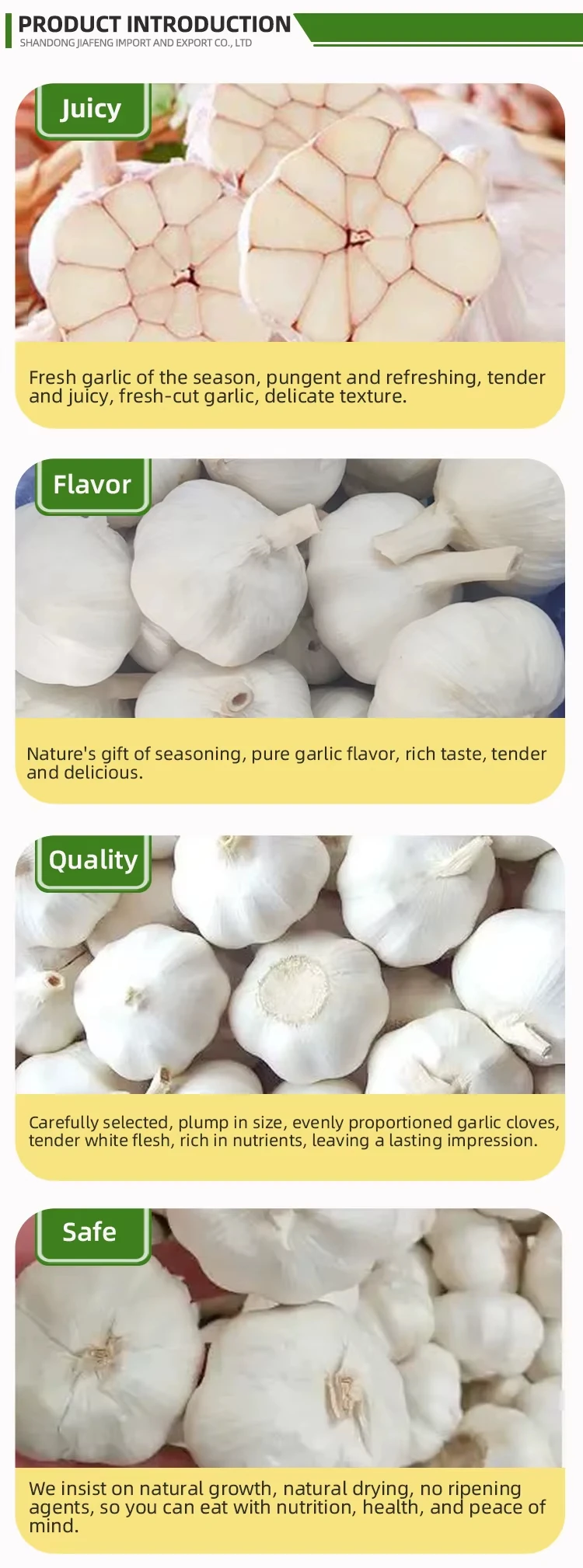 Bulk Garlic Powder | Wholesale Supplier H4eb11924be5c472fb596146c308b49611