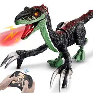 EPT Remote Control Dinosaur Toys Children Body Swing Light Sound Plastic Electronics Spray Dinosaur