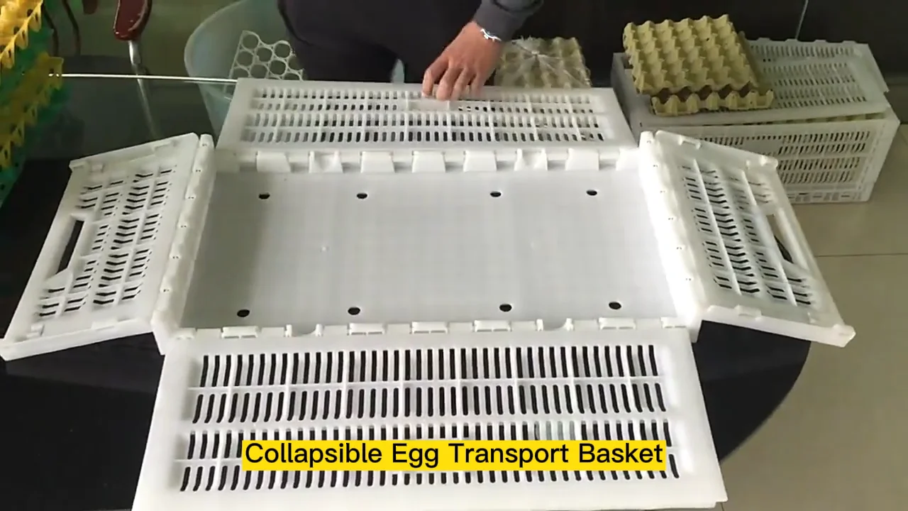 Great Farm Poultry Transport Crates Plastic Chicken Transfer Cages