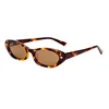 C2-Tortoiseshell-Brown