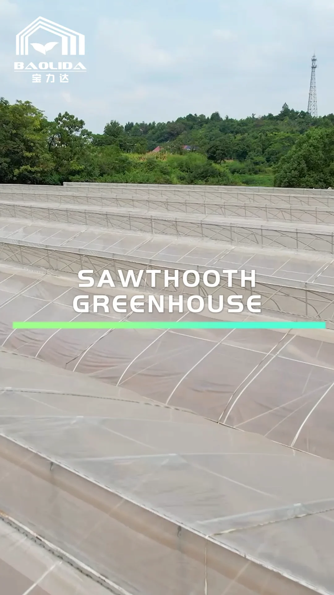 Natural Ventilation Sawtooth Multispan Greenhouse For Tropical Use