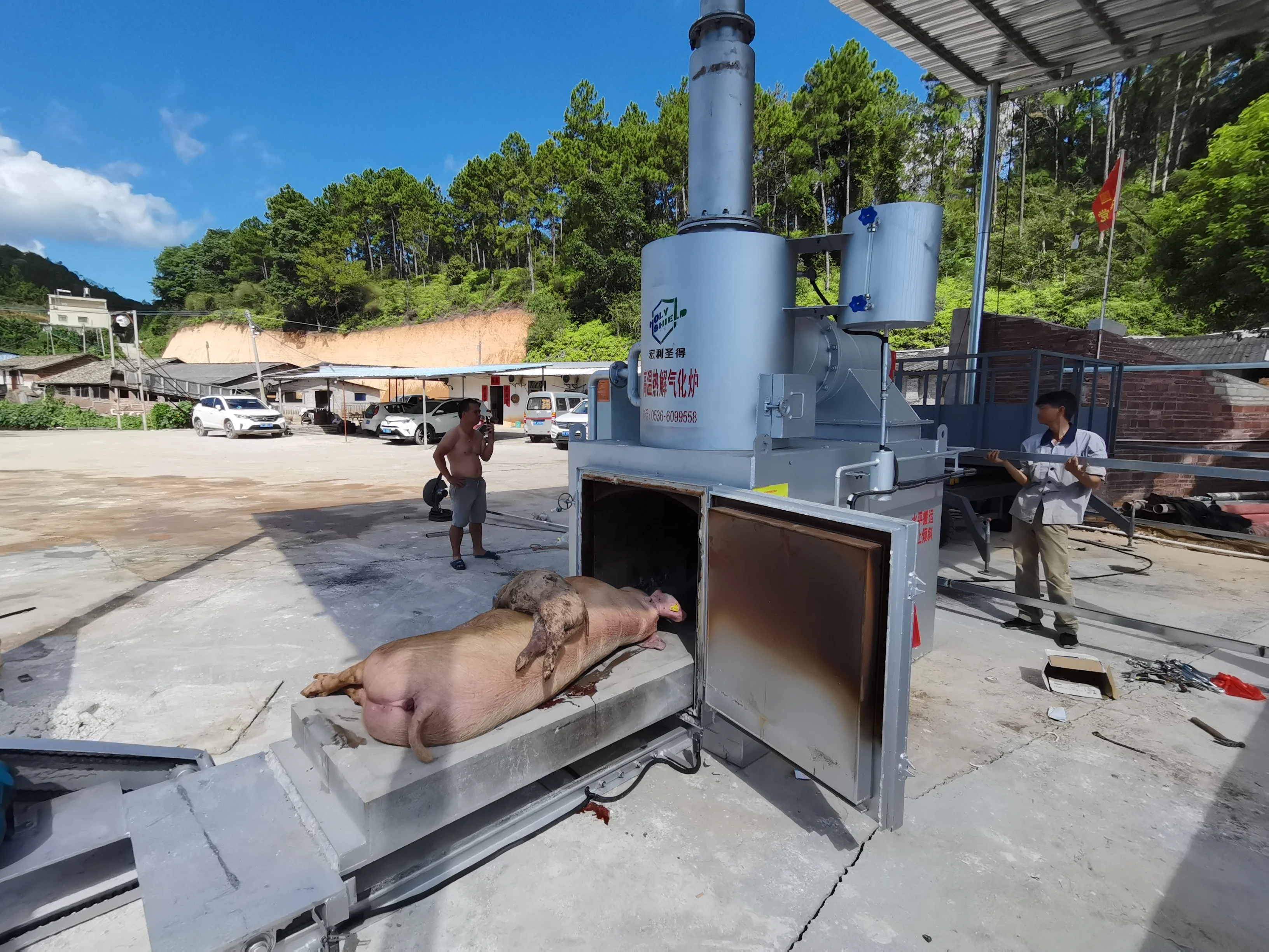 Pet Crematorium Machine/Animal Cremation Machine for Sale