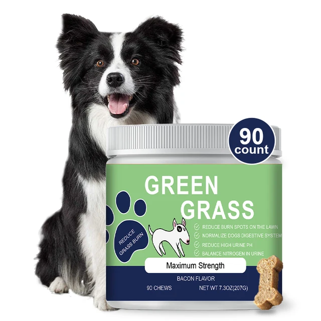 ODM/OEM Green Grass Chews for Dogs: Enhancing Gut, Immune, and Urinary tract Health with nutritional Supplements