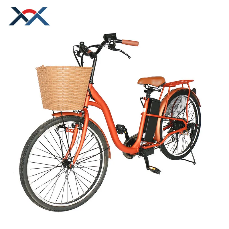 bike with big basket