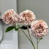 Lychee Rose Milk Tea Color