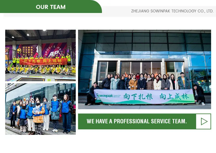 Custom Logo Eco-Friendly Sustainable Fast Food Packaging Container Disposable Takeout Kraft Paper Lunch Salad Bio Box manufacture