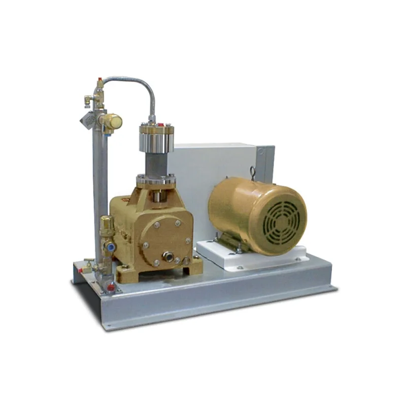 Leading in Sales Pump Cryogenic 2.5Mpa SUS304 LNG LHe L-CNG Cryogenic Booster Pump for Peak Load Reserve Station