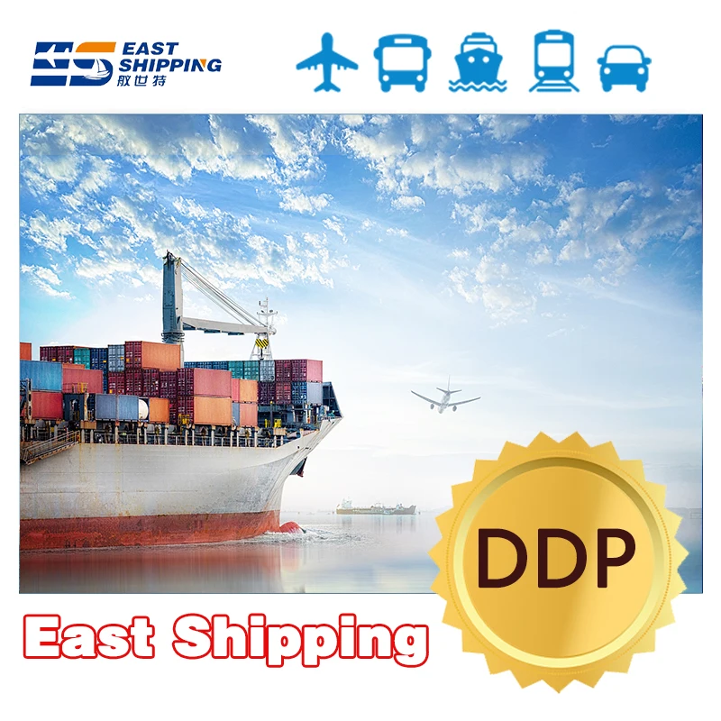 Shipping Agent Logistics Agent Freight Forwarder Container Shipping To South America