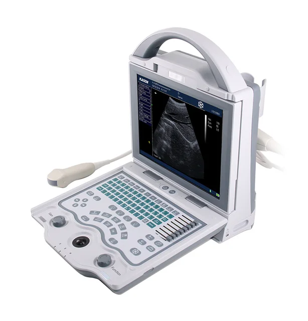 kaixin kx5600v veterinary ultrasound for small animals and pets