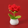 Spiral big red rose potted plant